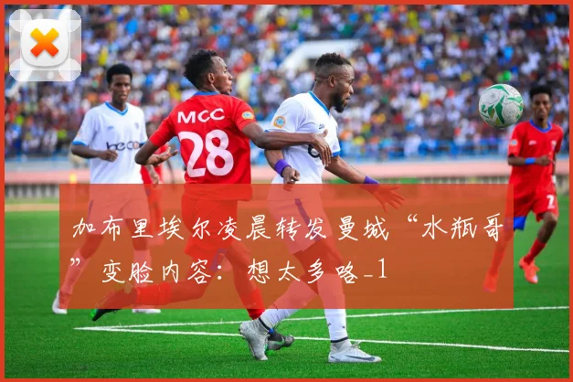 加布里埃尔凌晨转发曼城“水瓶哥”变脸内容：想太多咯_1
